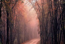 中国奥委会祝贺柯丝蒂·考文垂当选国际奥委会主席央视新闻客户端.