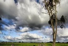 开云：赖特：加布的情况感觉不太妙，没有他踢皇马我可太担心了.