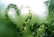 塔图姆33+12米切尔35分 绿军终结骑士15连胜.