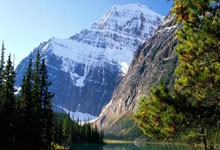 开云：默哀，黑山前国脚、皇社旧将德利巴希奇因脑瘤去世，年仅43岁.