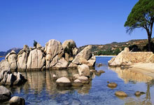 开云:NBA:文班亚马确诊右肩深静脉血栓 预计赛季报销.